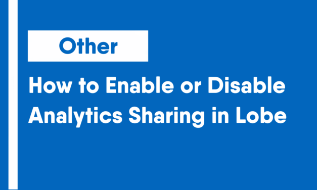 How to Enable or Disable Analytics Sharing in Lobe